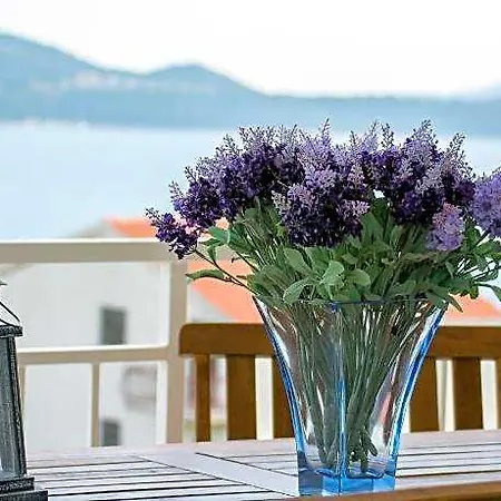 Apartamento In Seget Donji With Terrace *